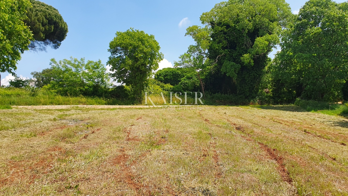 Istria - Kaštelir, terreno edificabile con servizi 1550m2
