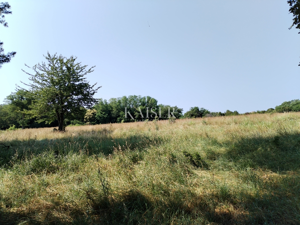 Terreni agricoli Buzet, 36.512m2