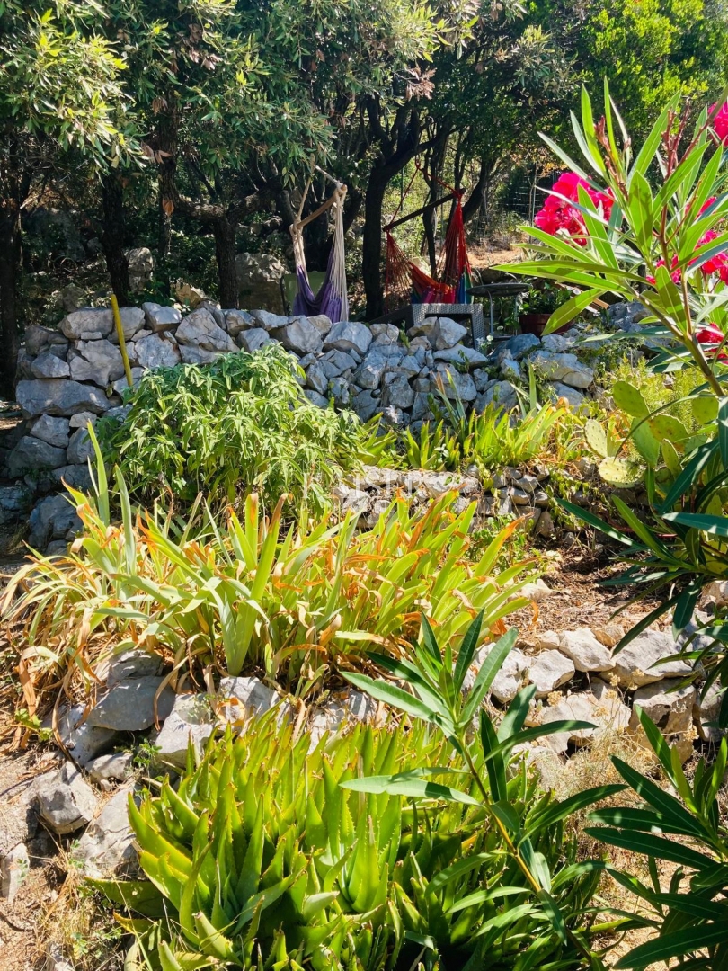 Isola di Cherso - Zaglav - appartamento con vista mare