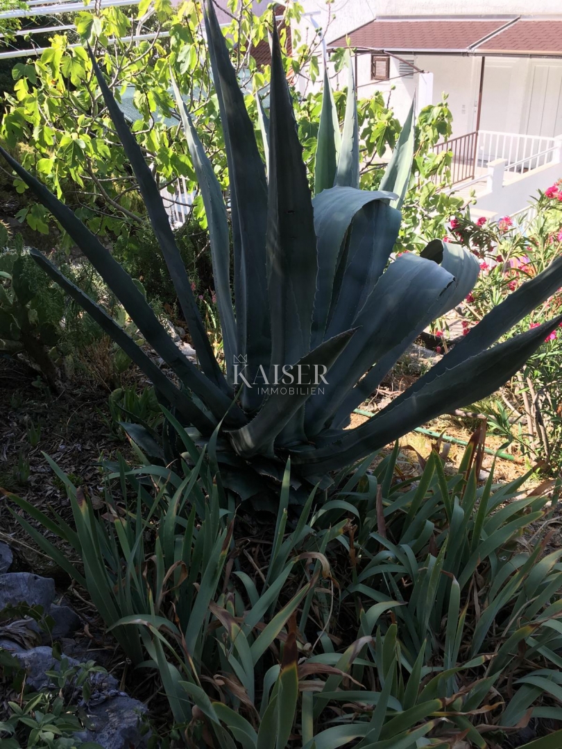 Isola di Cherso - Zaglav - appartamento con vista mare
