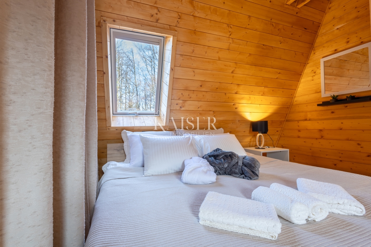 Delnice - villa con piscina 