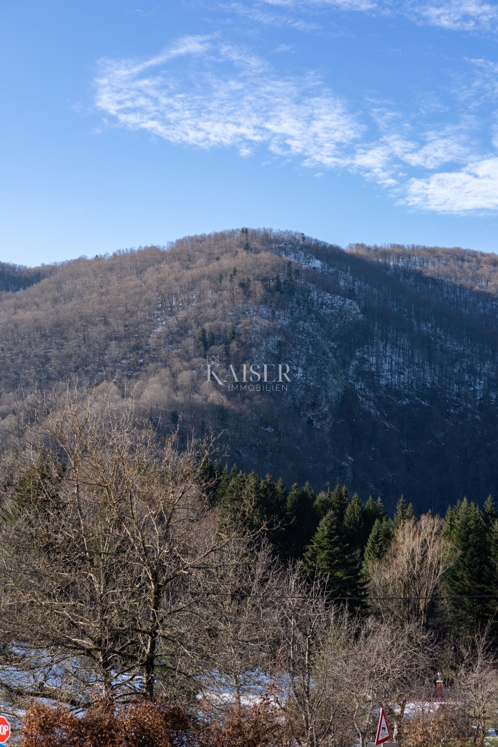 Delnice - villa con piscina 