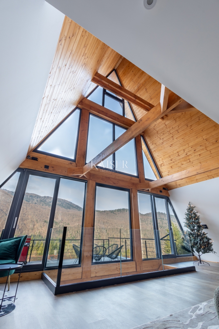 Delnice - villa con piscina 