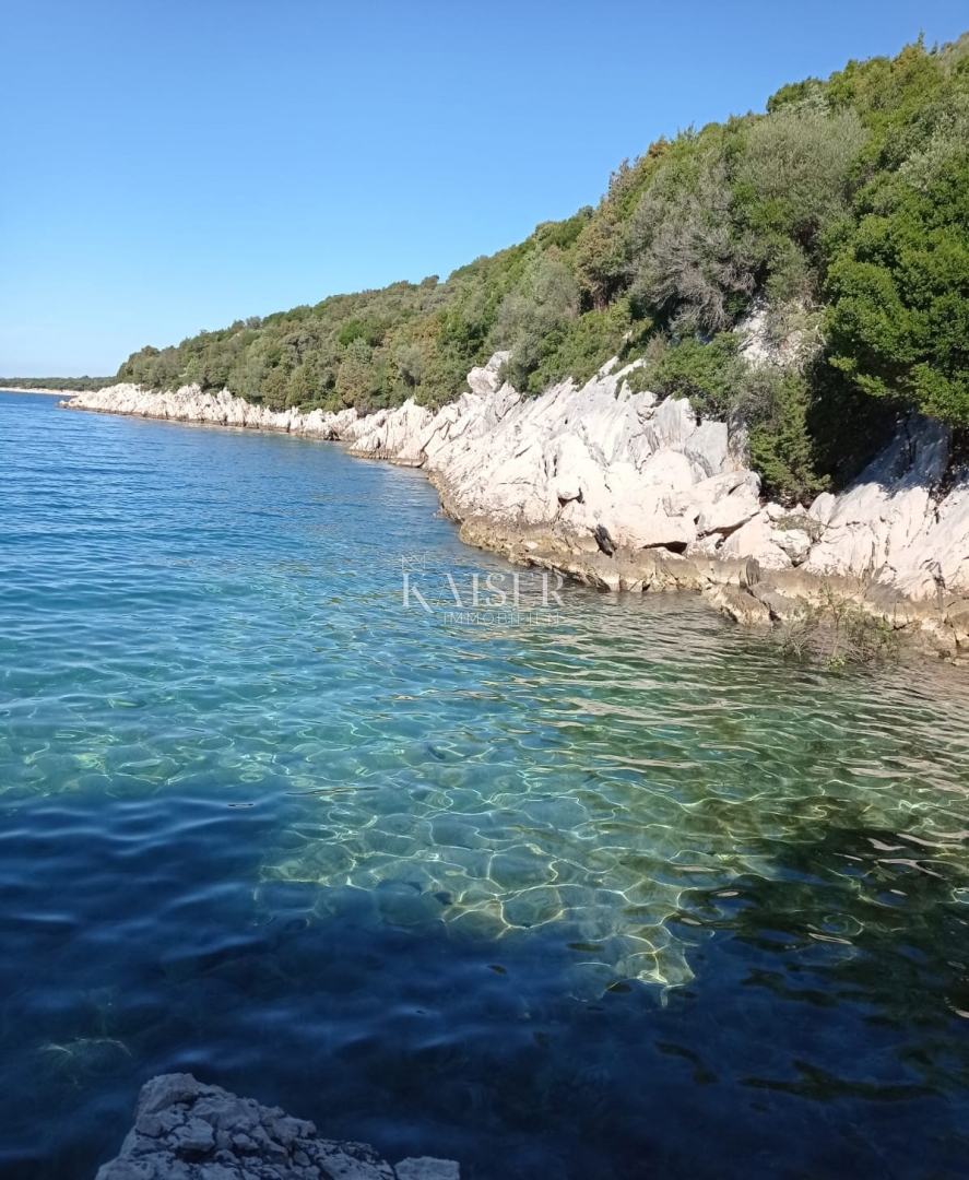 Isola di Cherso, terreno agricolo 20.000 m2 in riva al mare