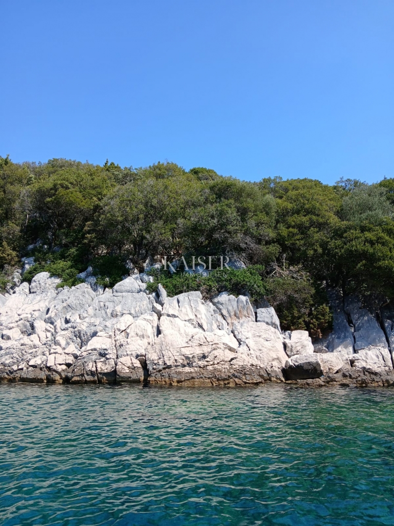 Isola di Cherso, terreno agricolo 20.000 m2 in riva al mare