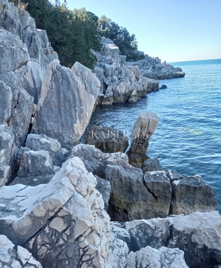Isola di Cherso, terreno agricolo 20.000 m2 in riva al mare