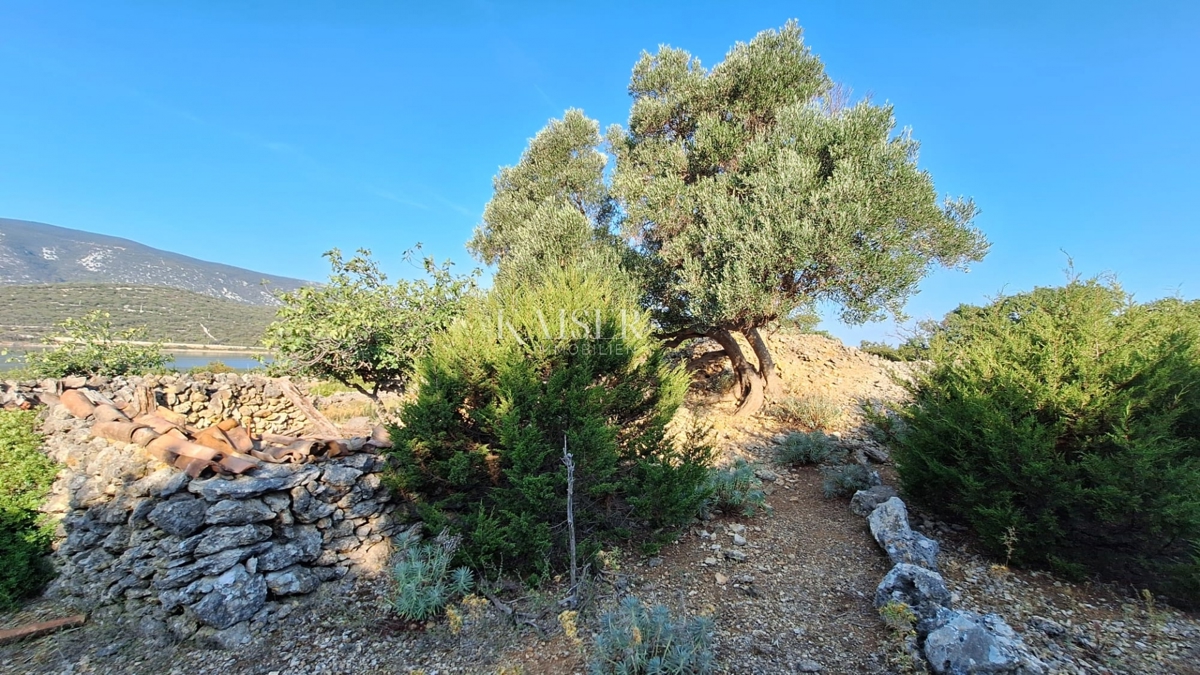 Casa Osor, Mali Lošinj, 37m2