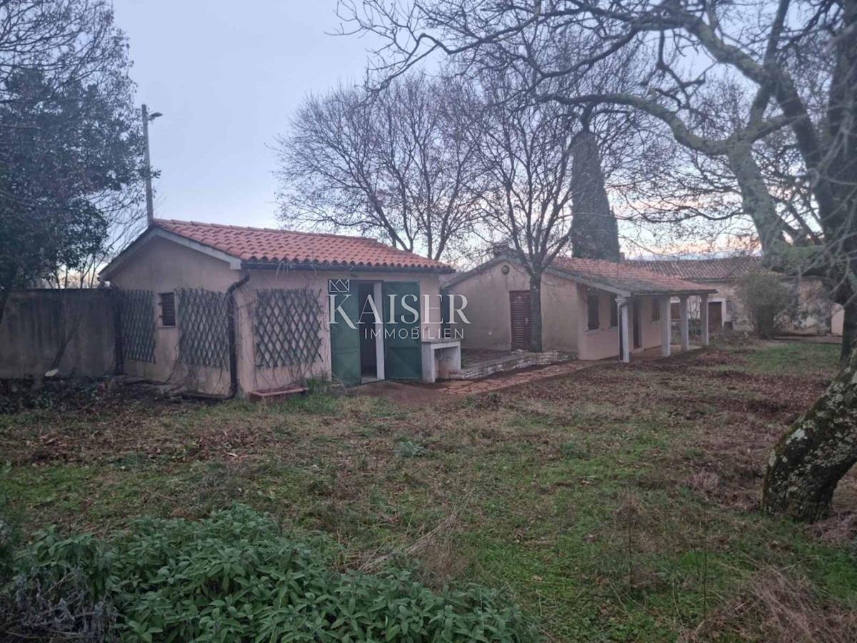 Istria - tenuta, complesso di case su un'area di 32.000 m2