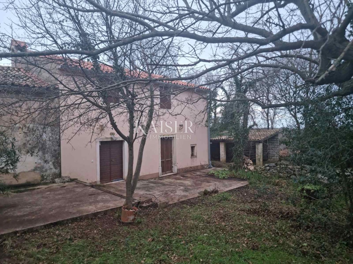 Istria - tenuta, complesso di case su un'area di 32.000 m2