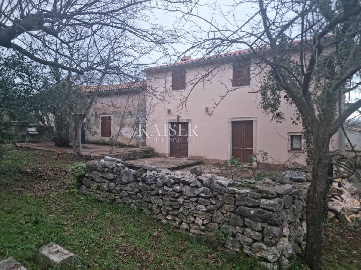 Istria - tenuta, complesso di case su un'area di 32.000 m2