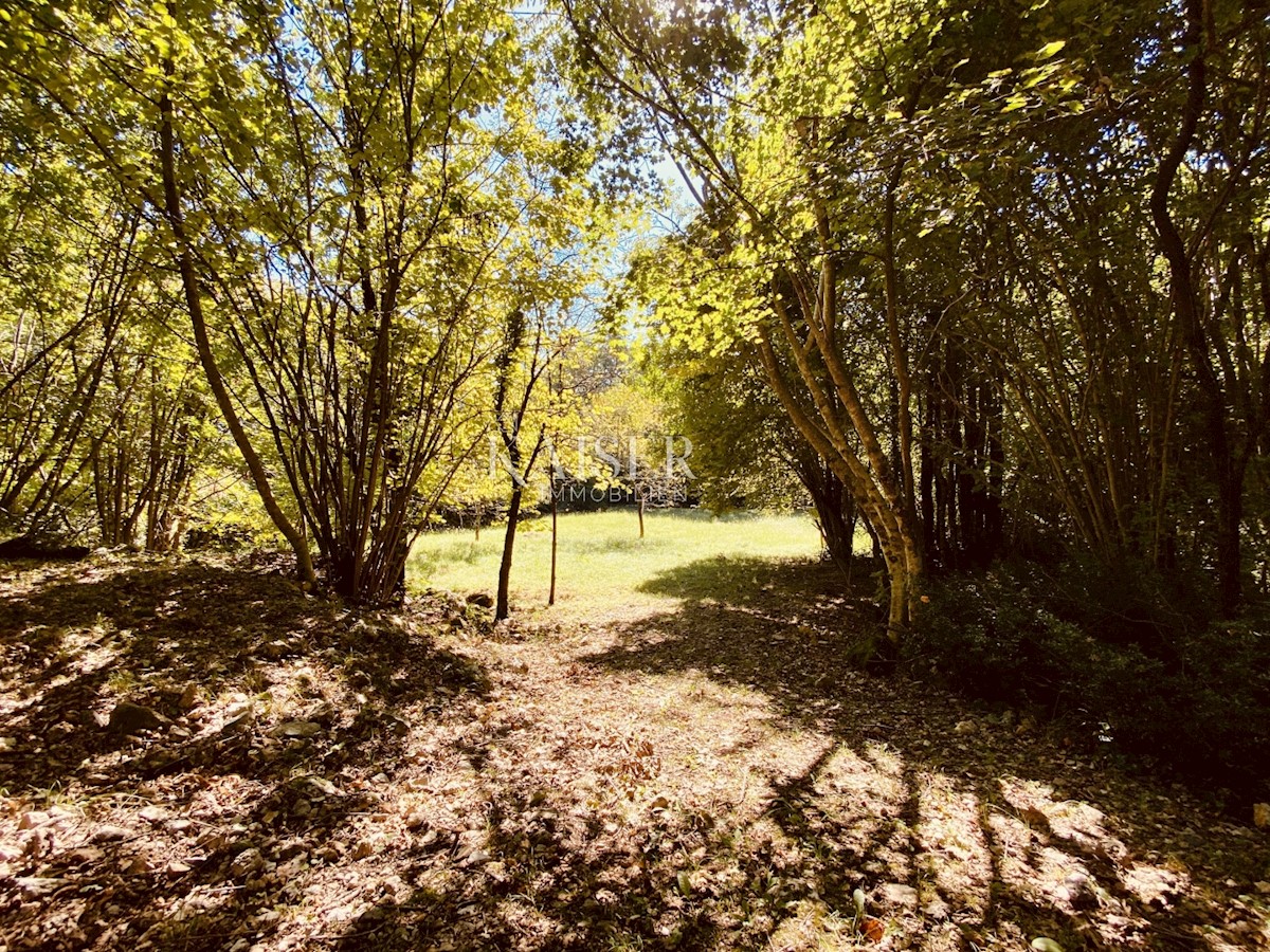 Veprinac – Casa familiare con ampio terreno in mezzo alla natura