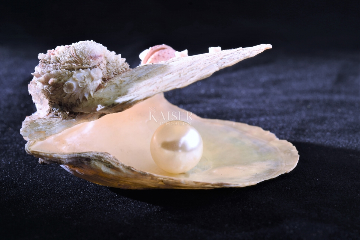 Abbazia - appartamento in una villa storica 