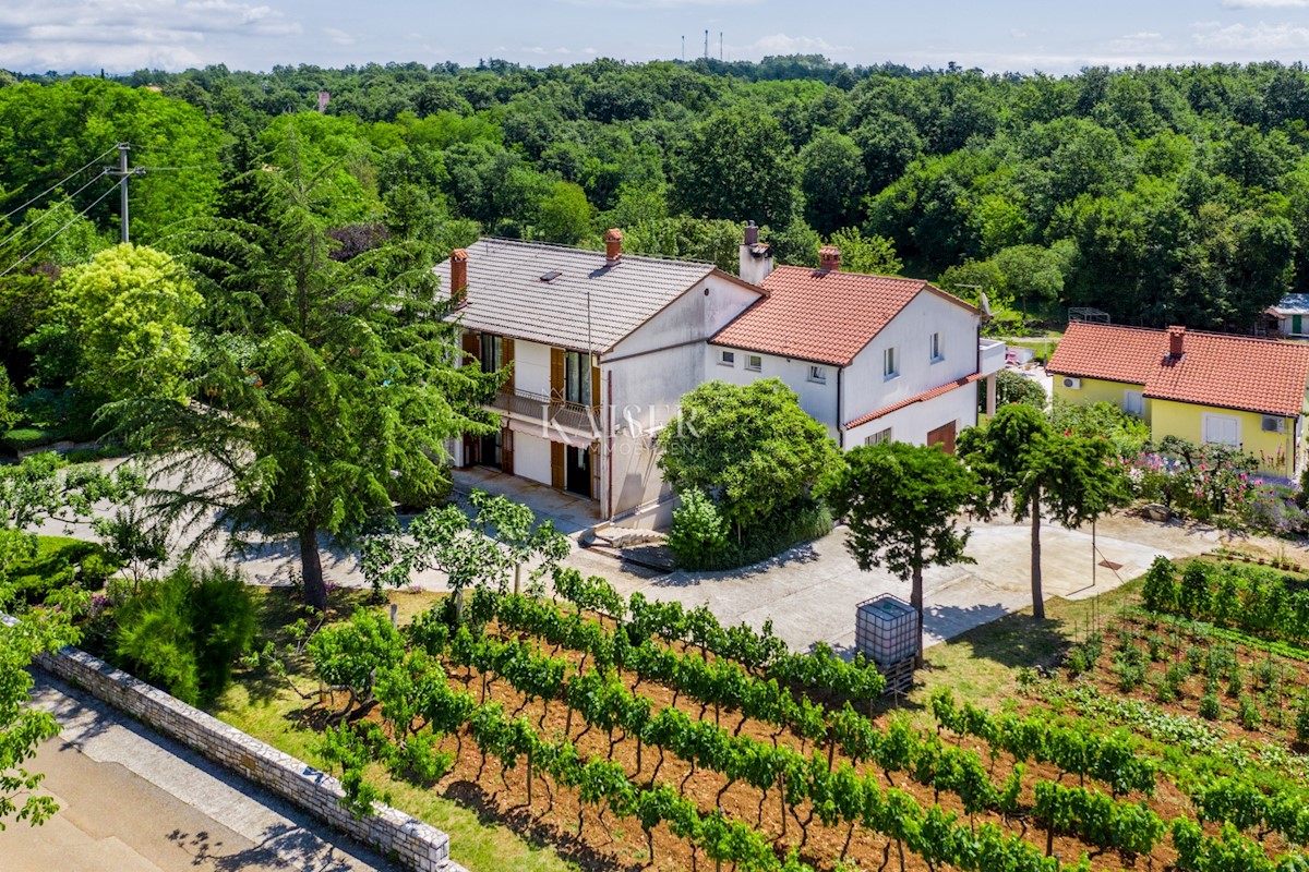 Istria, Gimino - tenuta familiare, 2 case con piscine e 1 ufficio