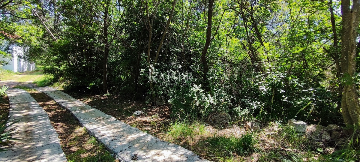 Drenje - terreno edificabile immerso nel verde, 900 m2