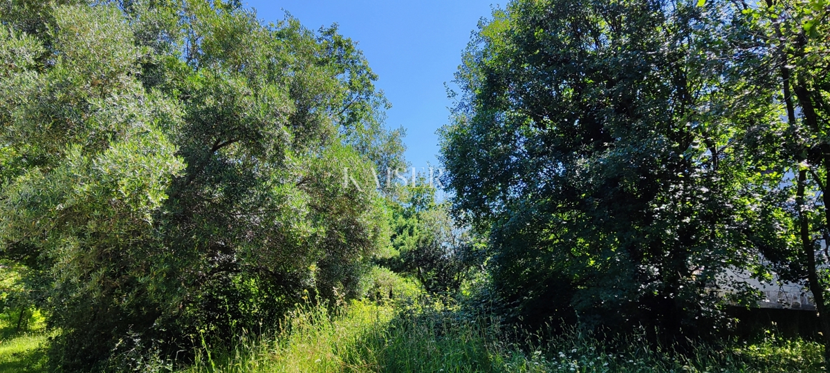 Drenje - terreno edificabile immerso nel verde, 900 m2