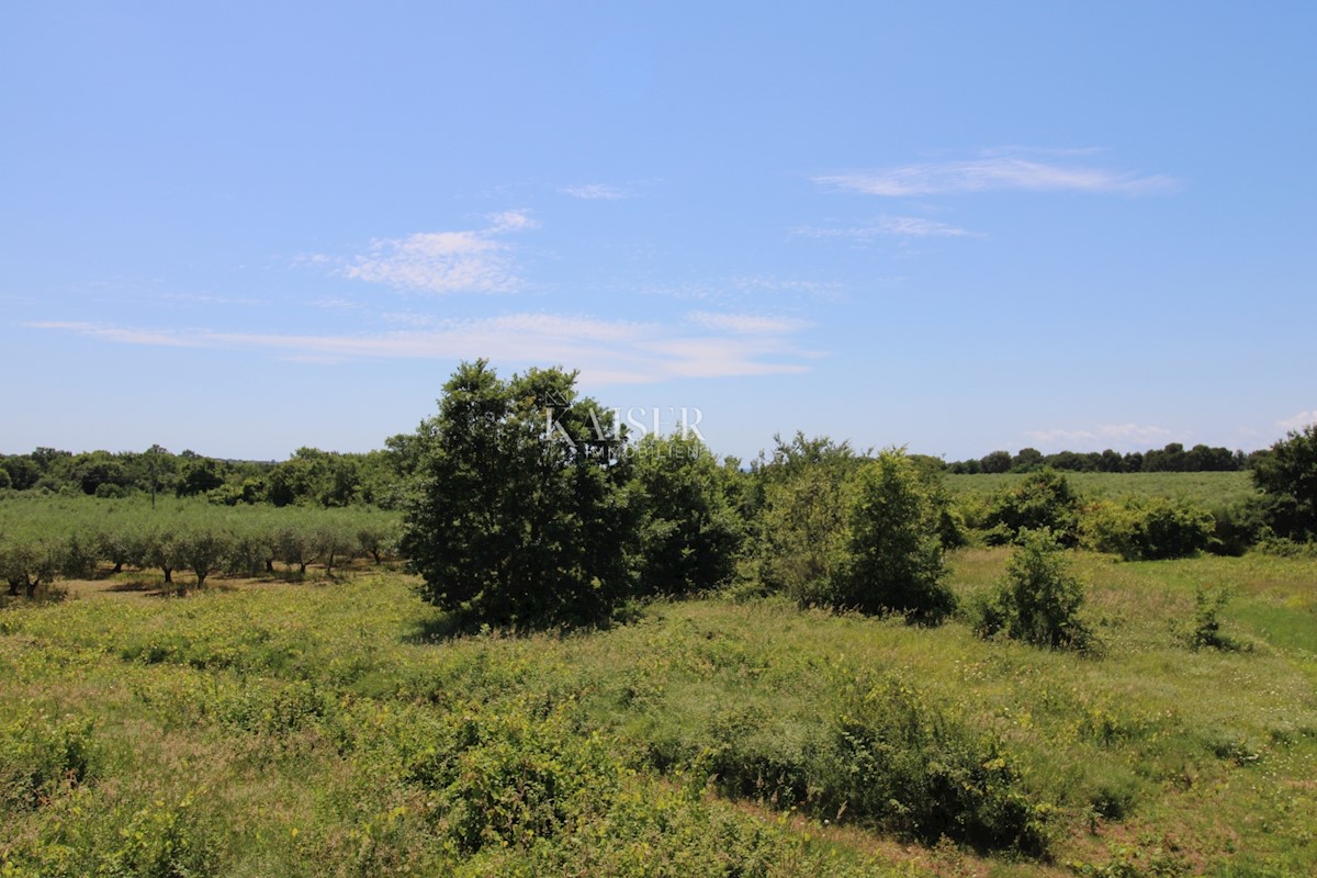 Istria - Parenzo, terreno edificabile 500 m dal mare, zona T1