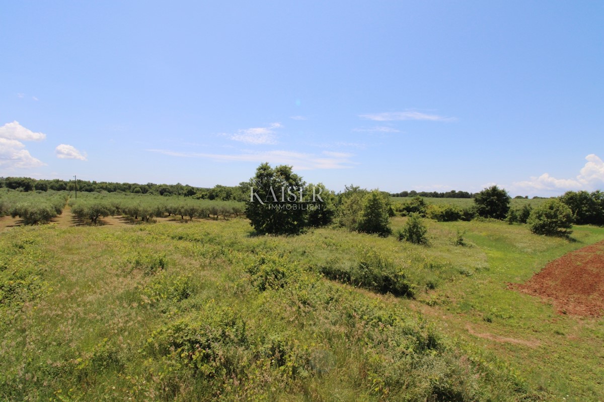 Istria - Parenzo, terreno edificabile 500 m dal mare, zona T1