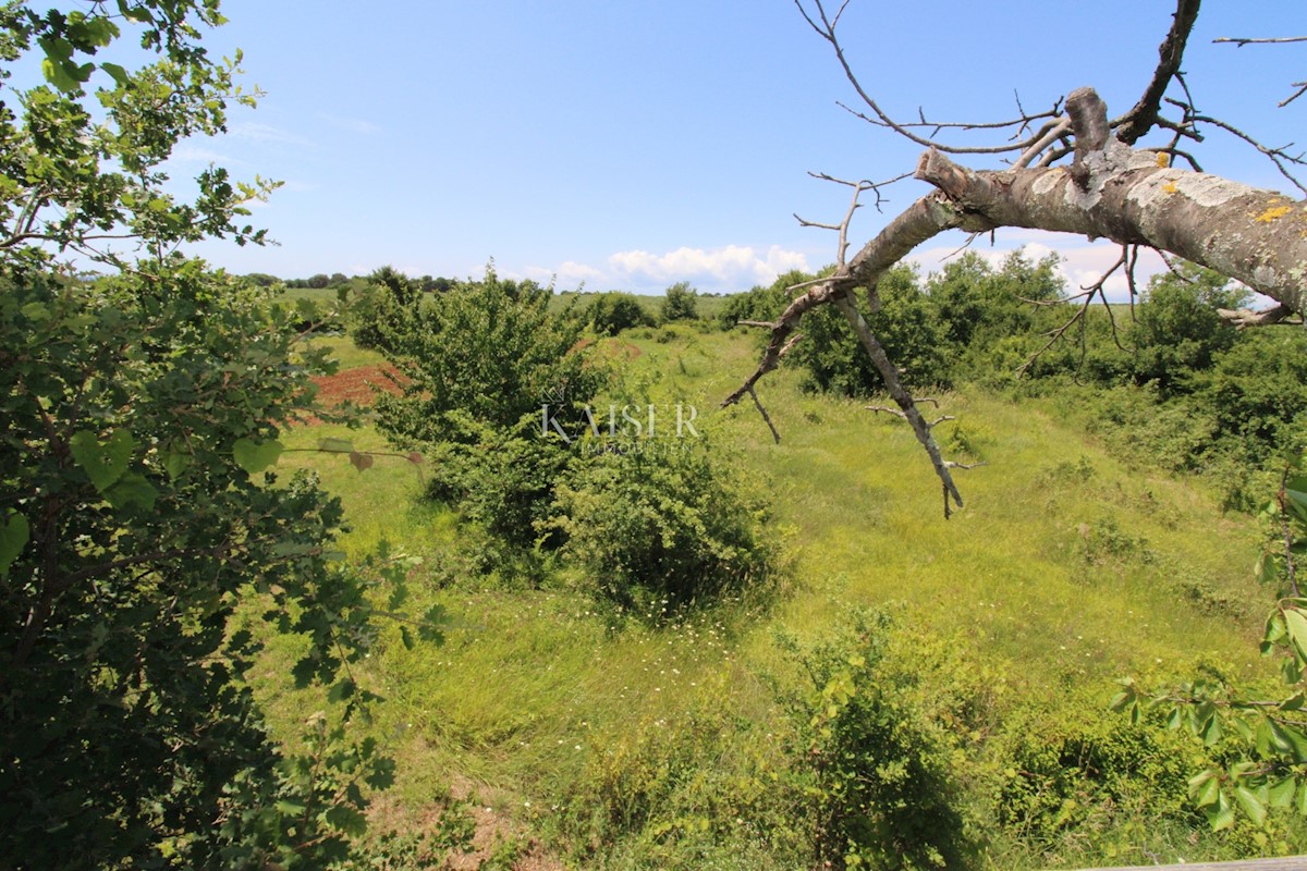 Istria - Parenzo, terreno edificabile 500 m dal mare, zona T1