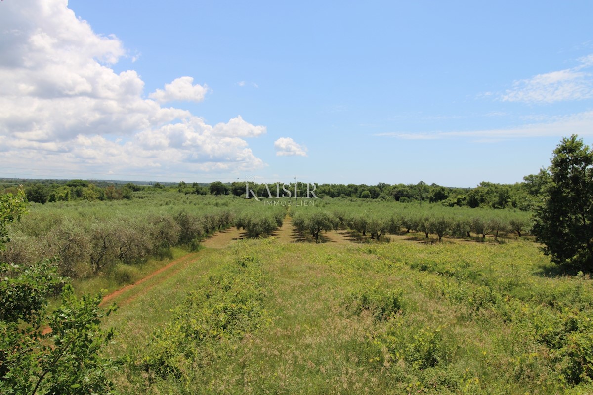 Istria - Parenzo, terreno edificabile 500 m dal mare, zona T1