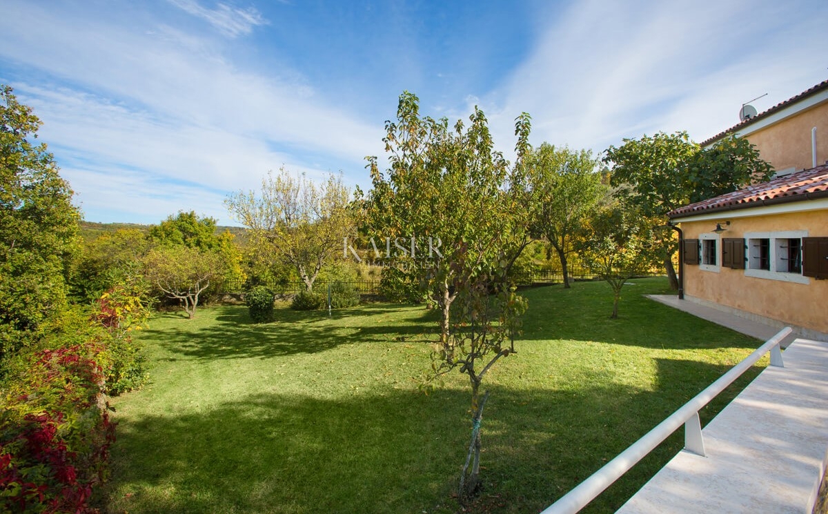  Ville Momjan, Buje, 160m2