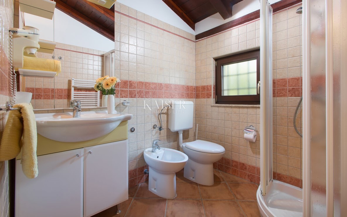  Ville Momjan, Buje, 160m2