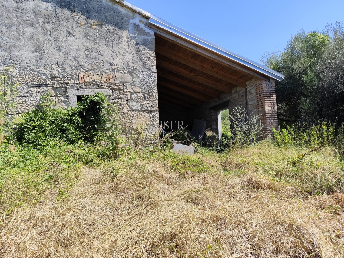 Istria, Pinguente - Proprietà nell'Istria centrale