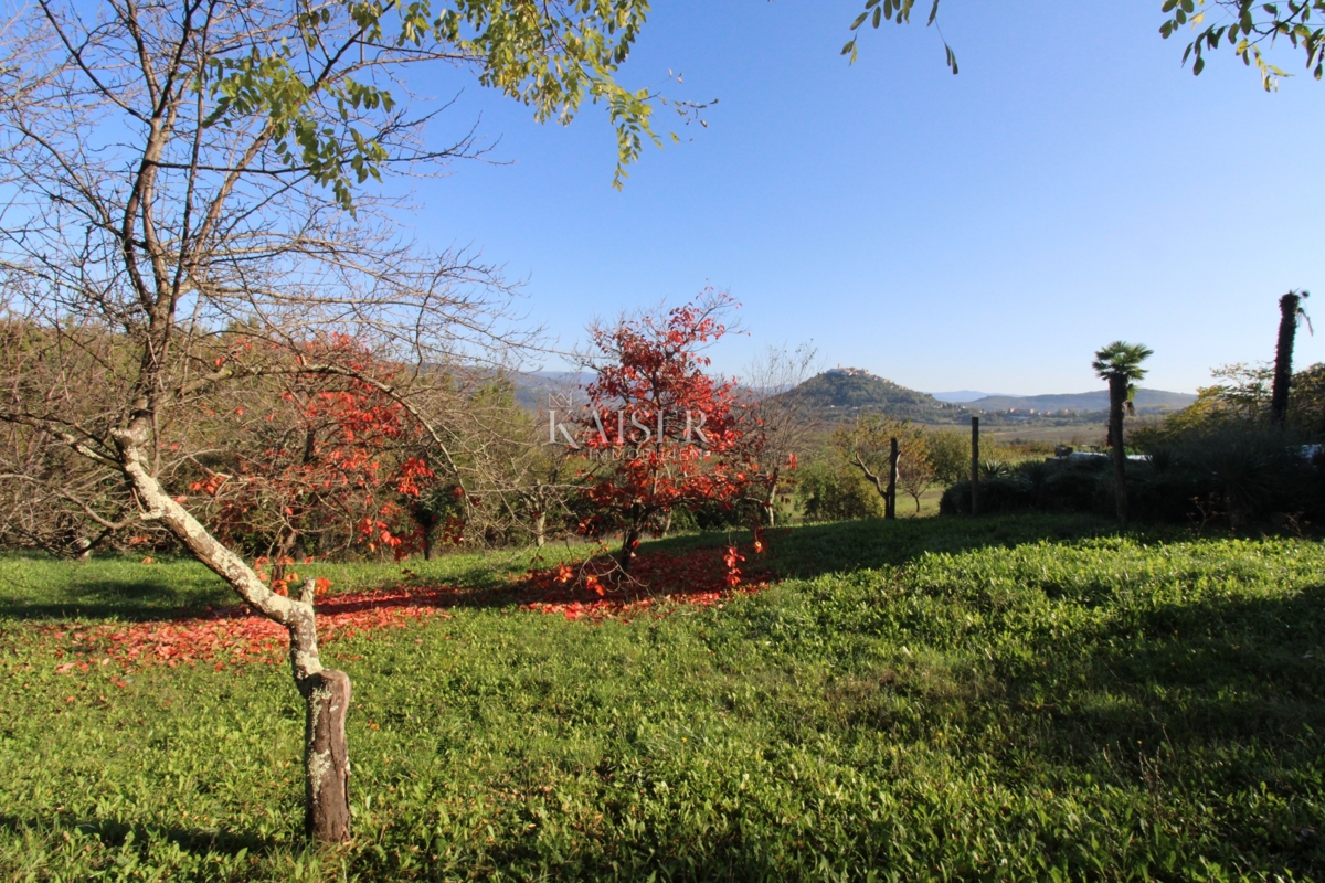 Istria - Motovun, terreno agricolo, vista su Montona