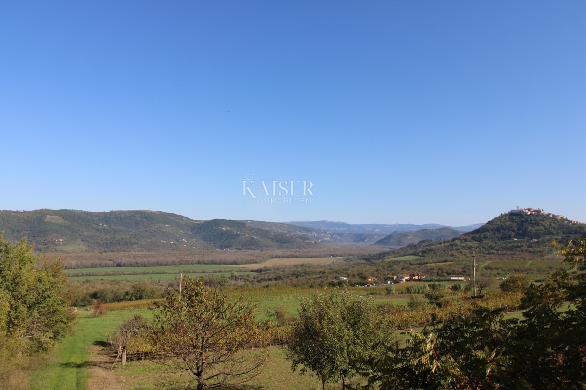 Istria - Motovun, terreno agricolo, vista su Montona