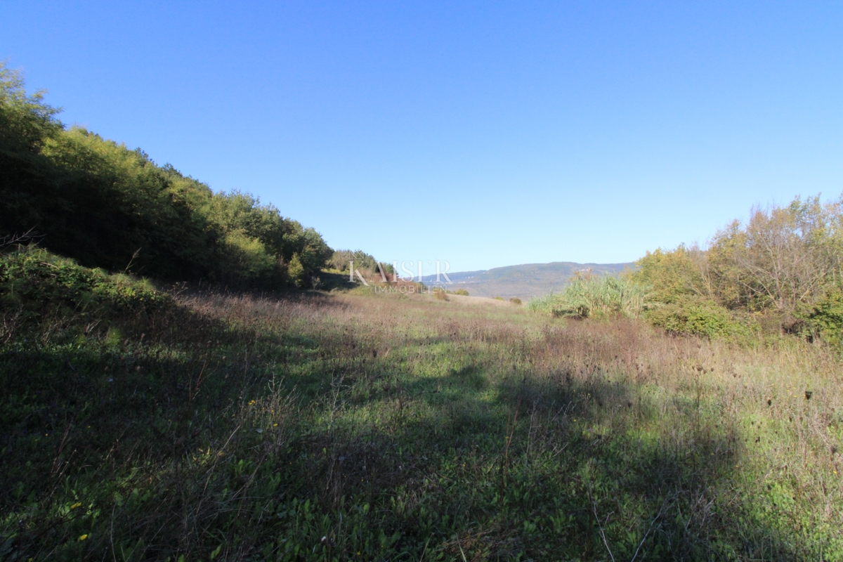 Istria - Motovun, terreno agricolo, vista su Montona