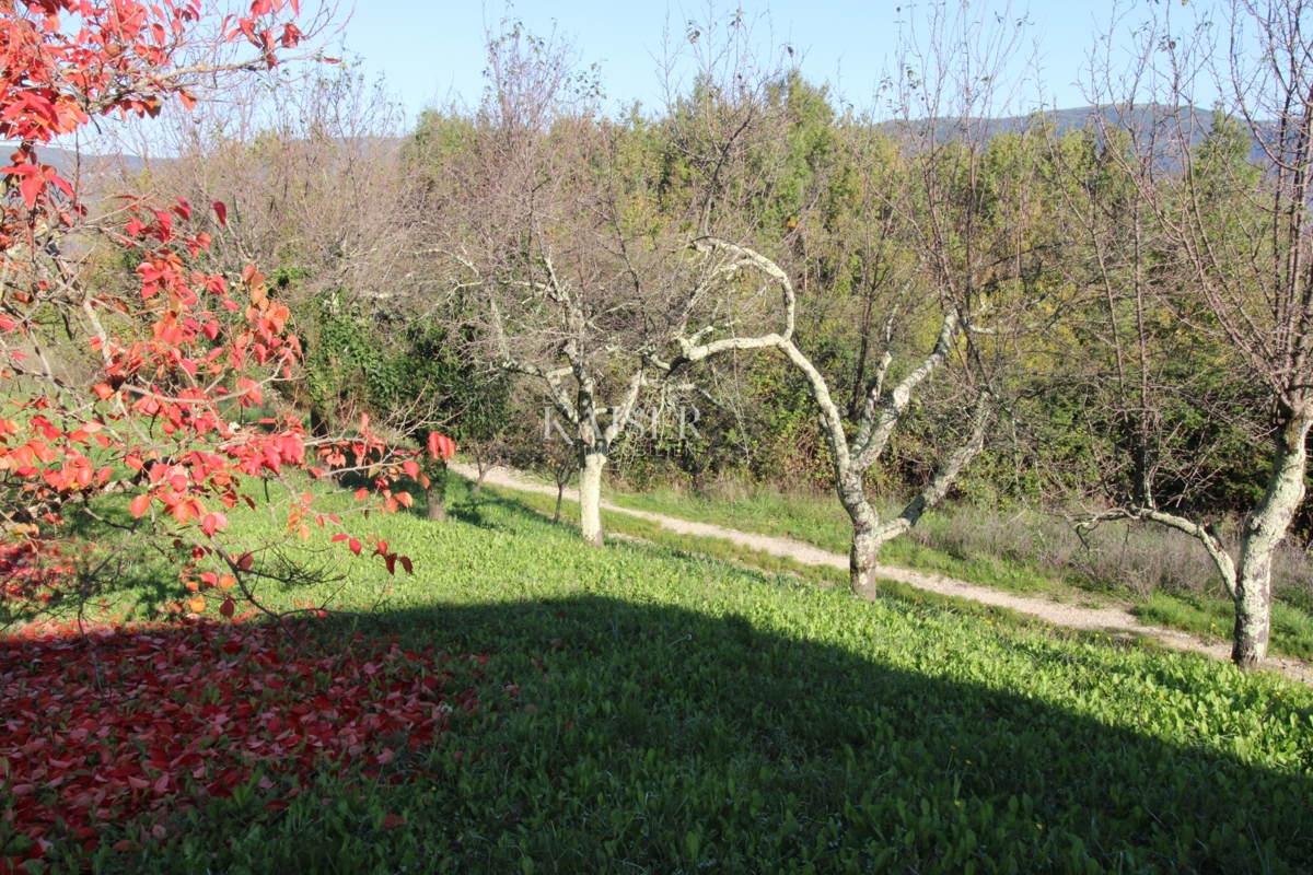 Istria - Motovun, terreno agricolo, vista su Montona