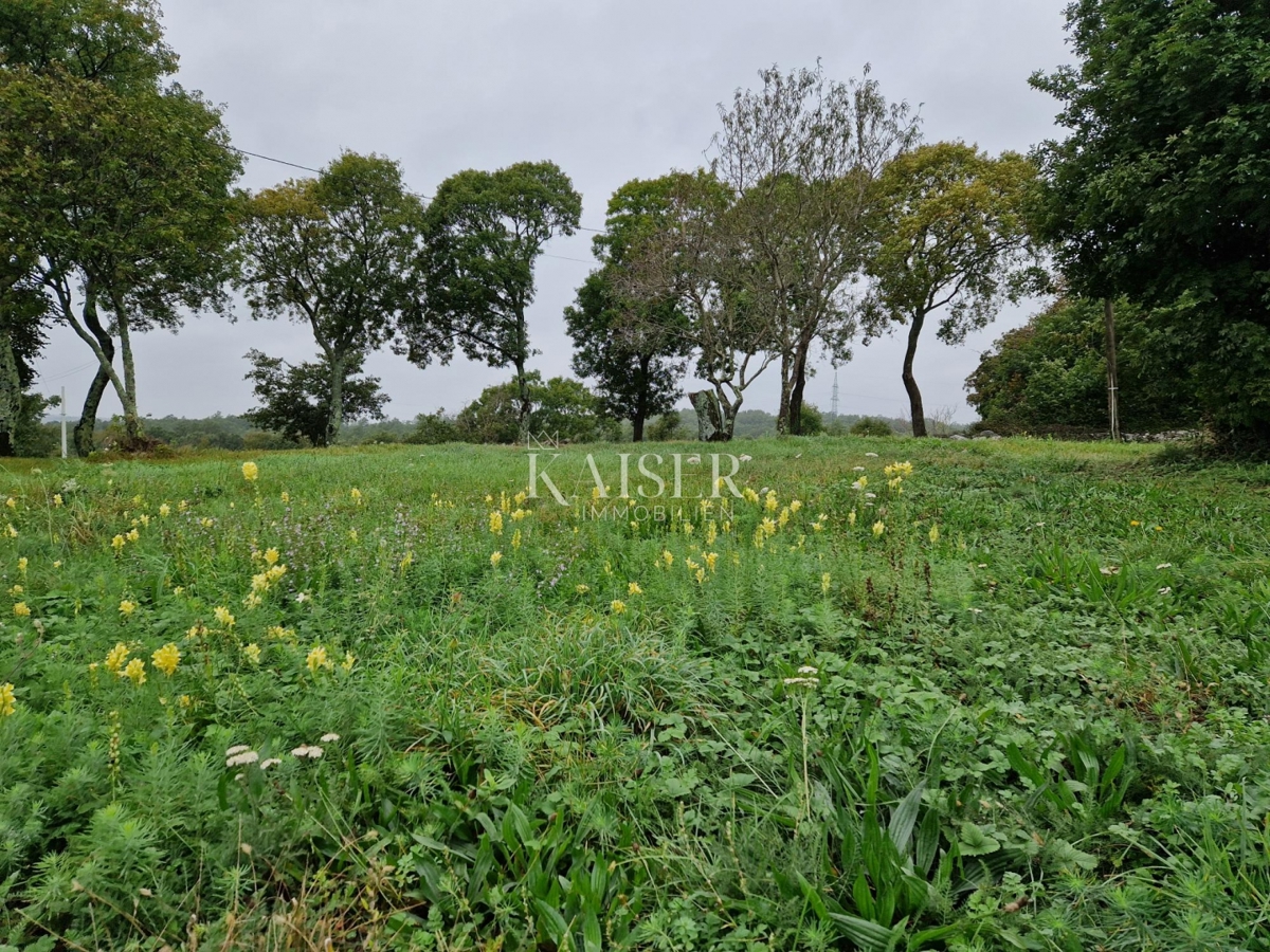 Istria - zona Barban, terreno con permesso di costruire e progetto per una lussuosa villa istriana
