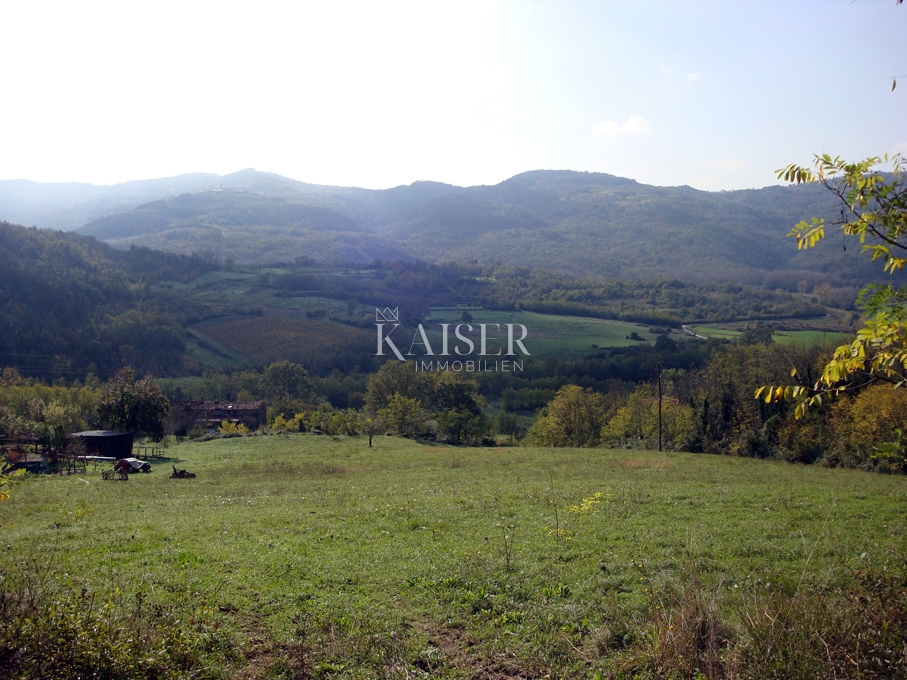 Istria - Montona, Terreno edificabile 3480 m2