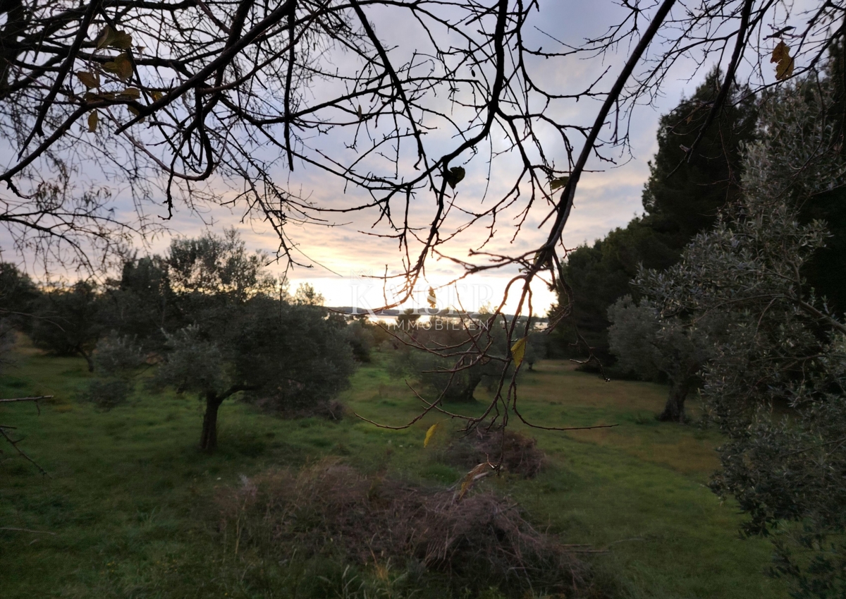 Istria, Fasana - terreno agricolo con vista mare