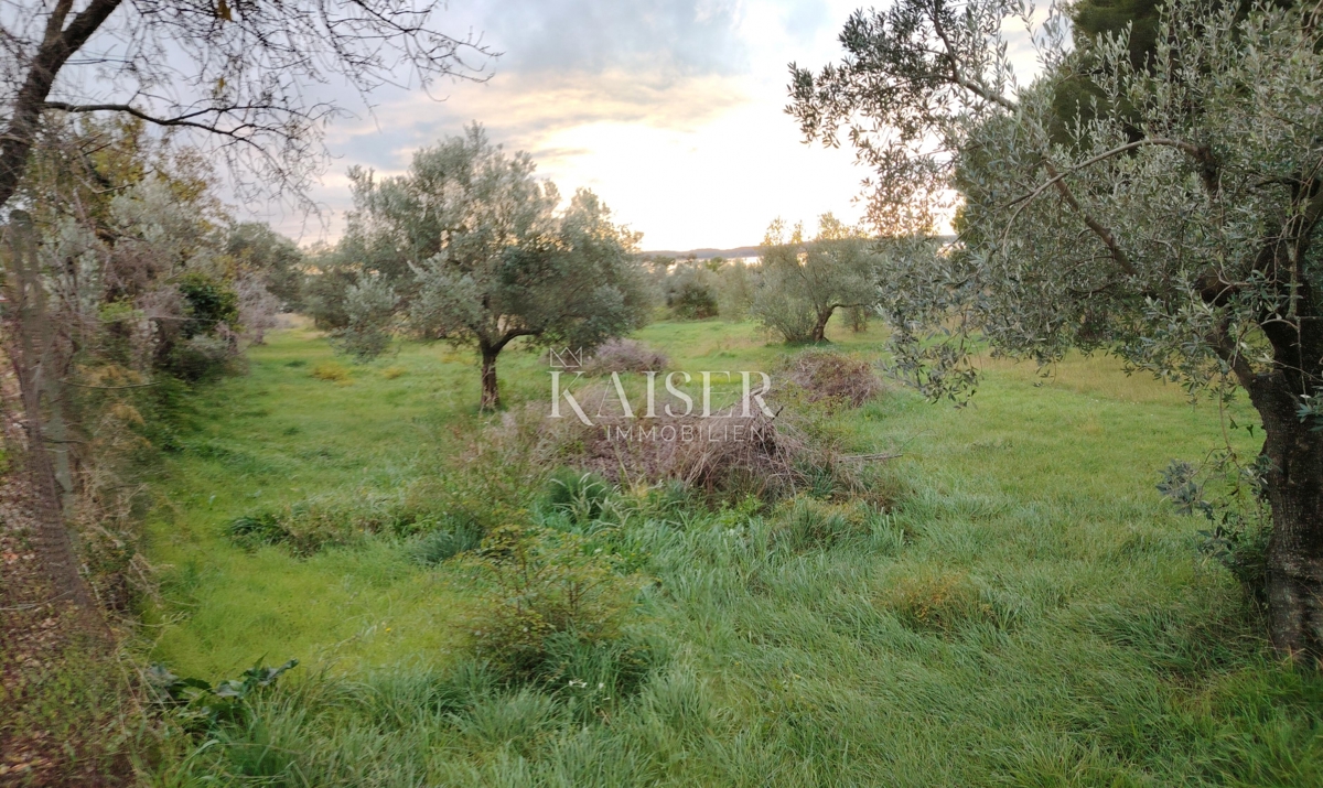 Istria, Fasana - terreno agricolo con vista mare