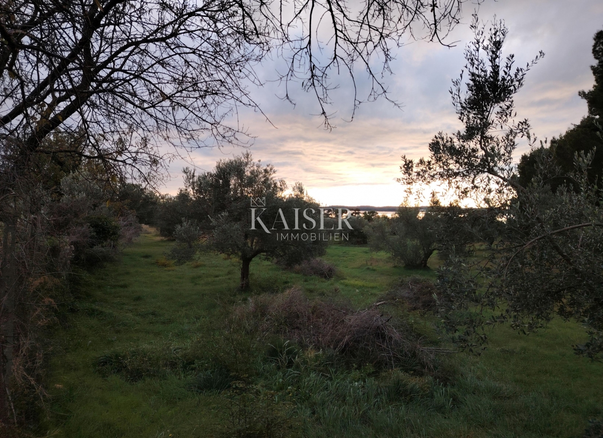 Istria, Fasana - terreno agricolo con vista mare