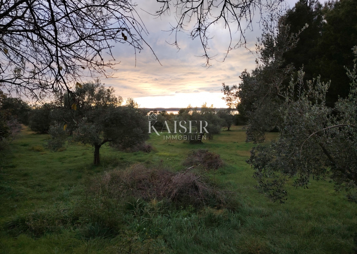 Istria, Fasana - terreno agricolo con vista mare