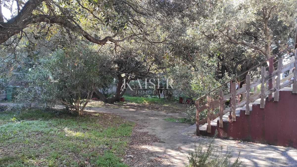 Zara, Isola di Silba - Casa indipendente a 100 metri dal mare