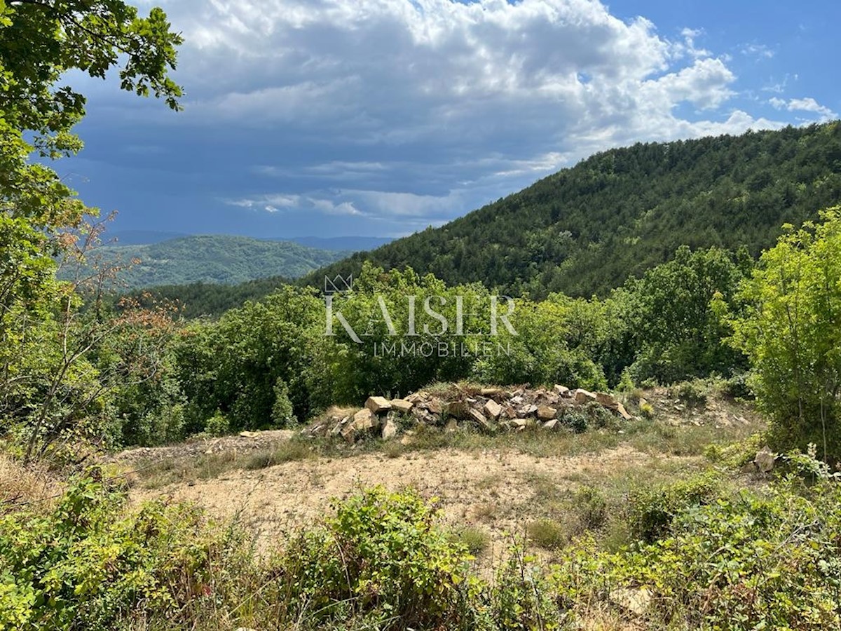 Buzet – Bellissimo terreno agricolo di 33.000 m2 con i resti di una grande casa