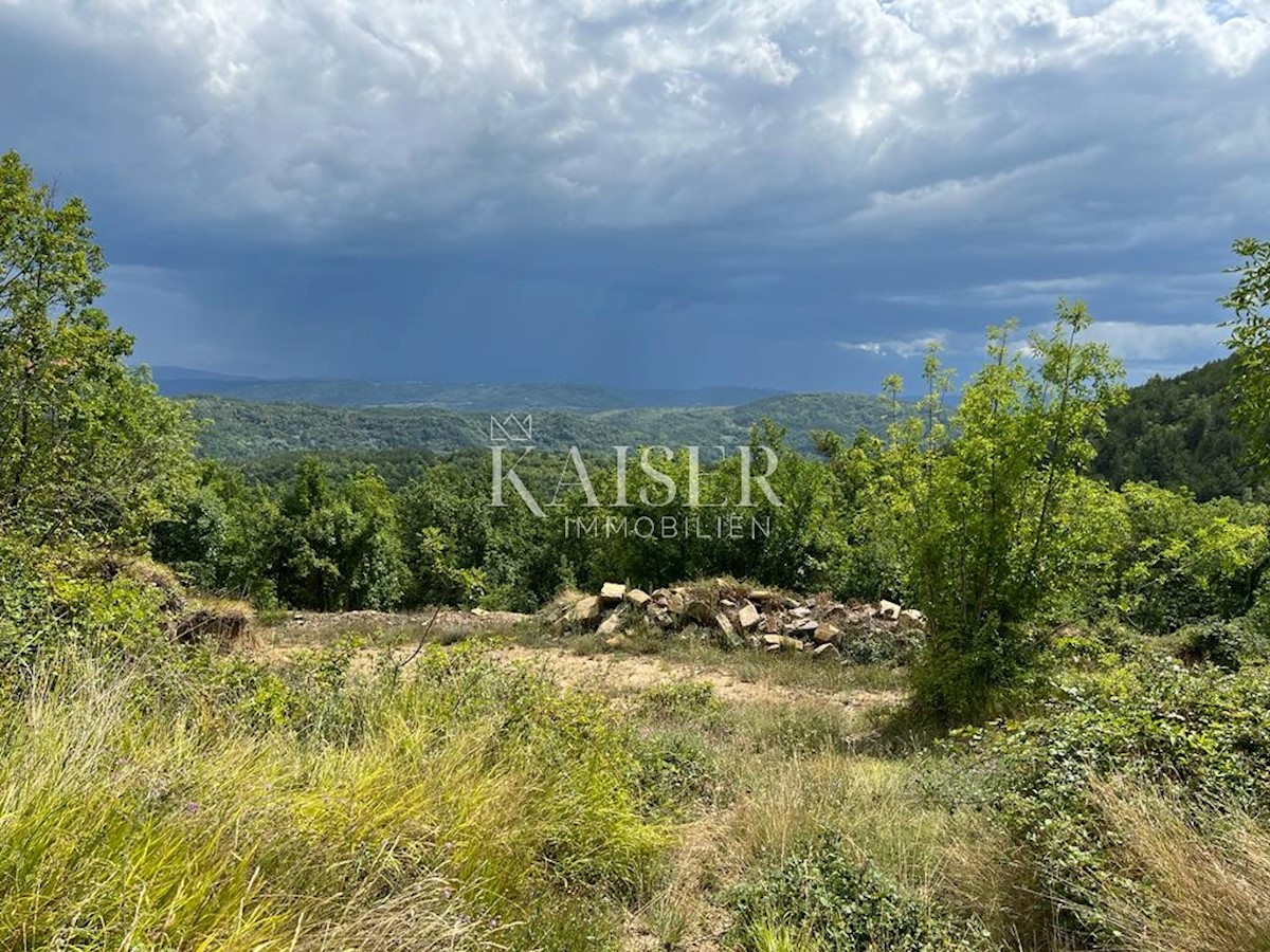 Buzet – Bellissimo terreno agricolo di 33.000 m2 con i resti di una grande casa