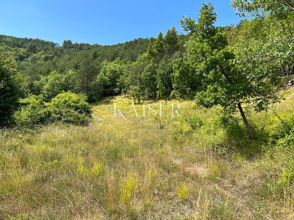 Buzet – Bellissimo terreno agricolo di 33.000 m2 con i resti di una grande casa