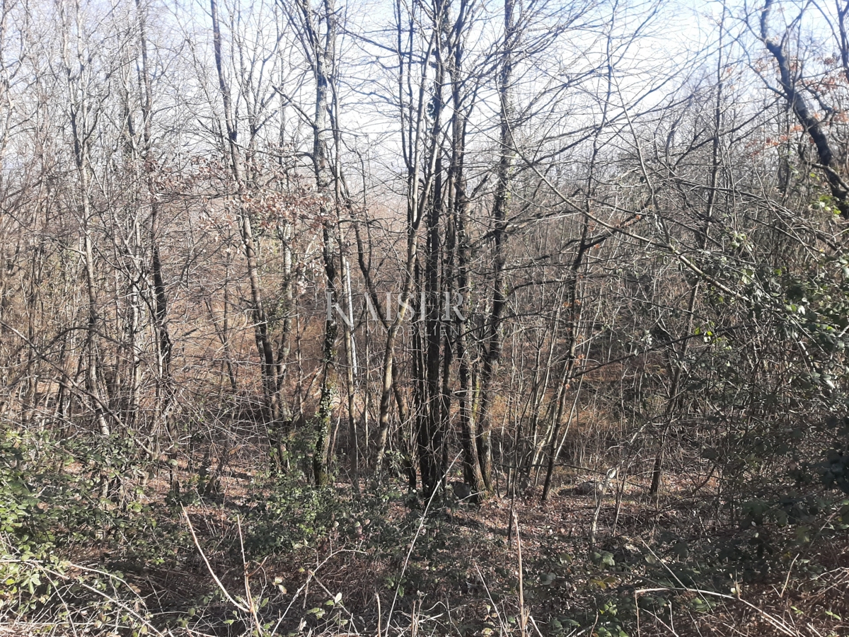Matulji, Rukavac - terra nel cuore della natura