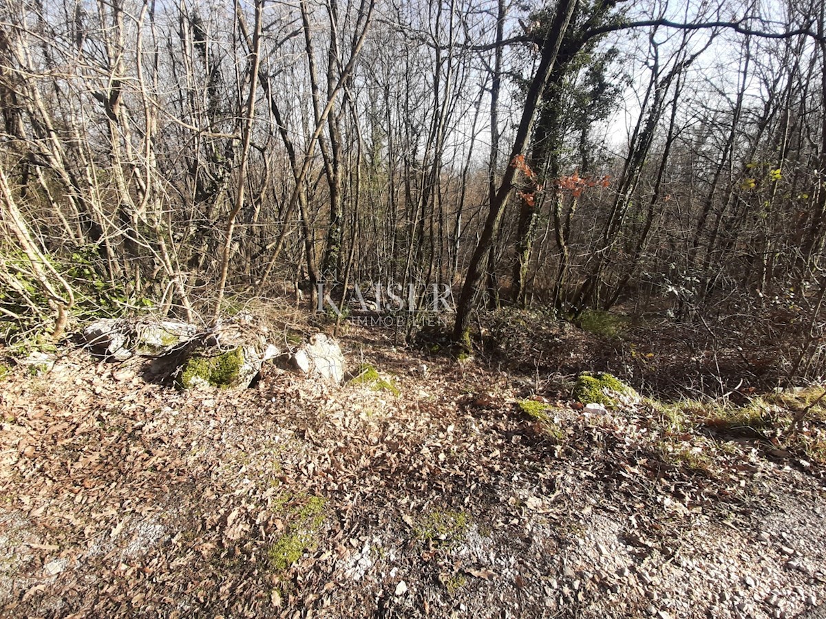 Matulji, Rukavac - terra nel cuore della natura