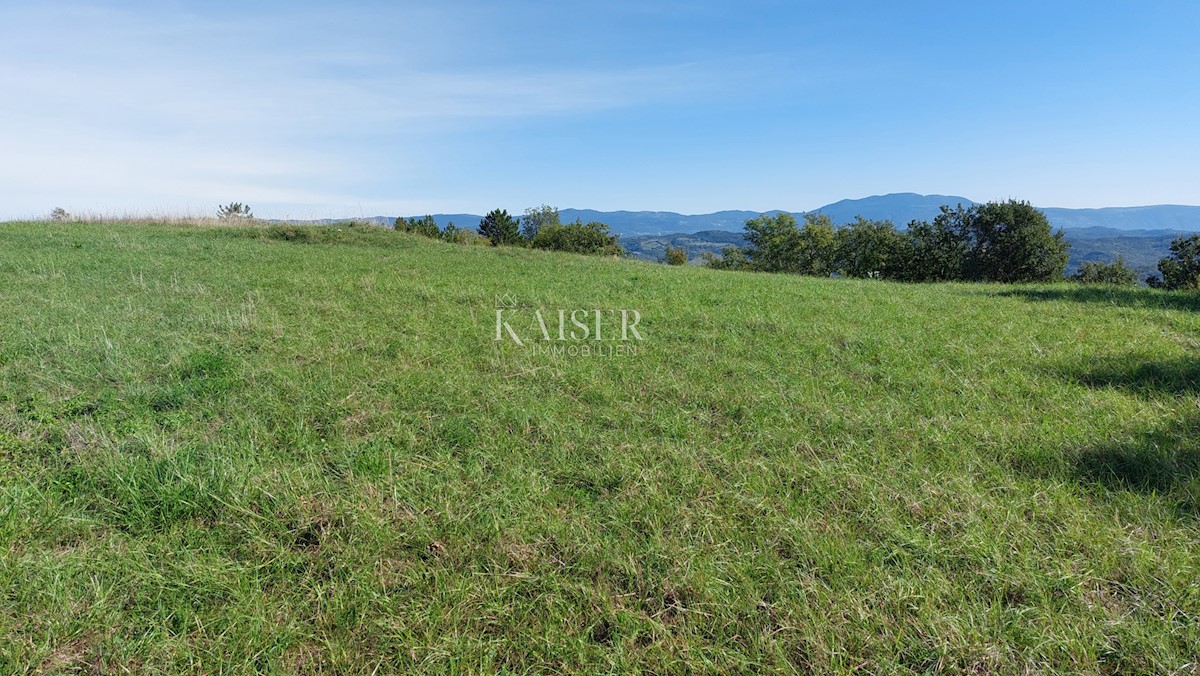 Istria, Motovun, terreno edificabile per ville di lusso