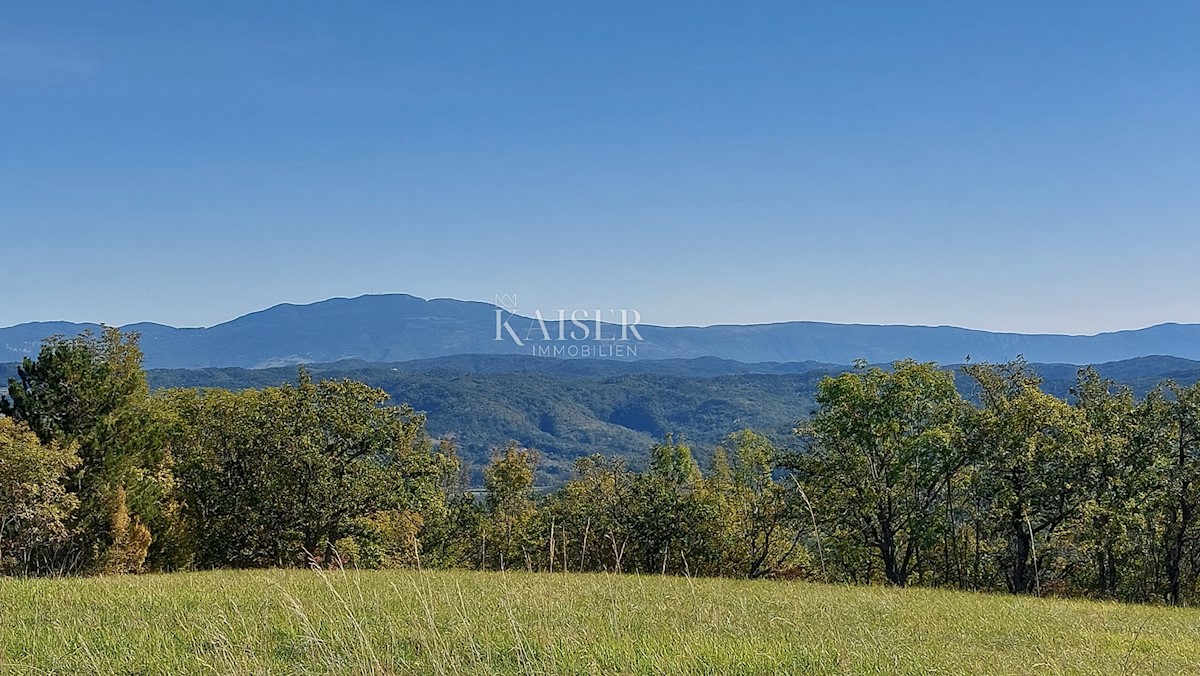 Istria, Motovun, terreno edificabile per ville di lusso