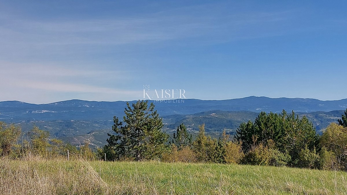 Istria, Motovun, terreno edificabile per ville di lusso