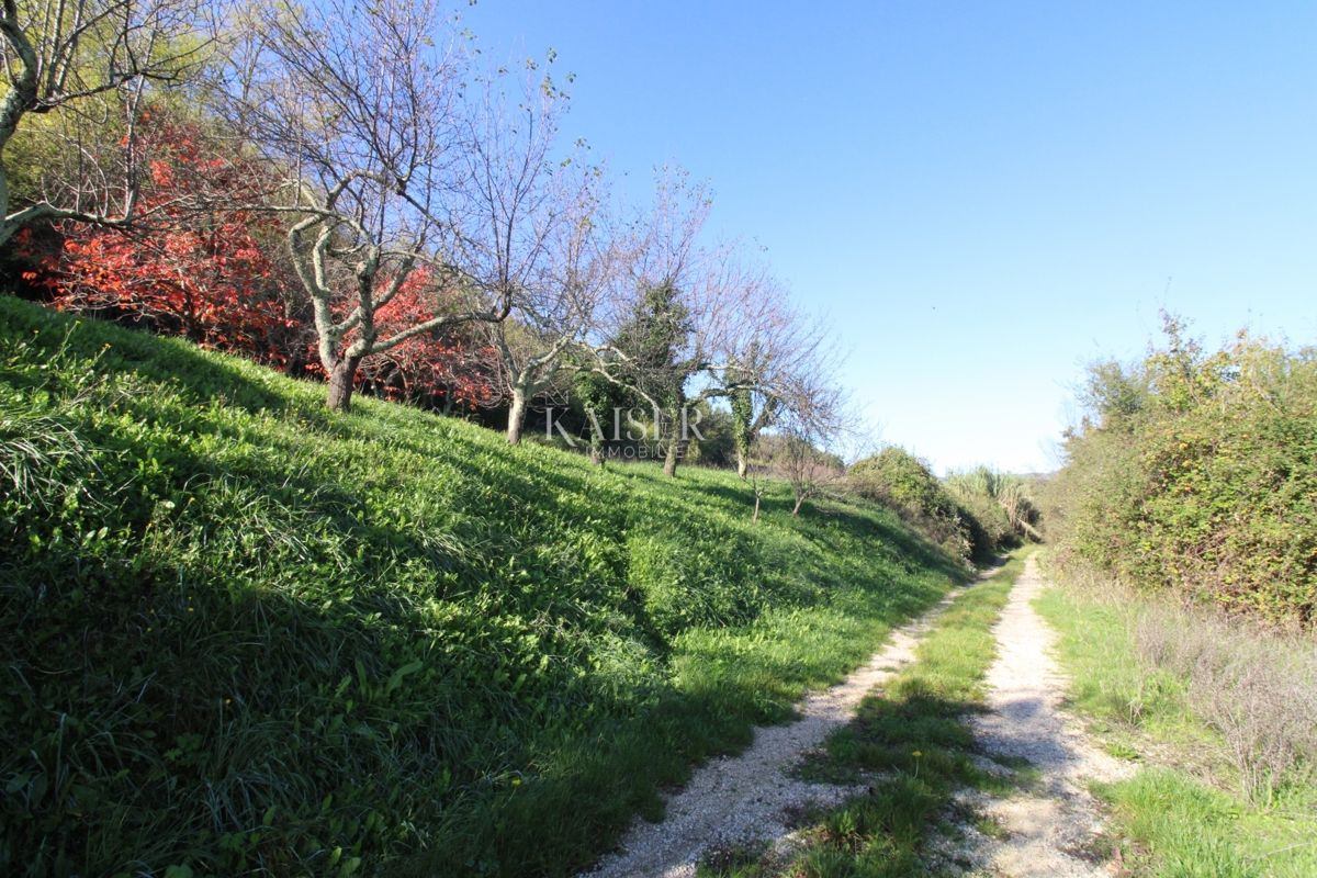 Istria - Motovun, terreno edificabile, vista su Montona