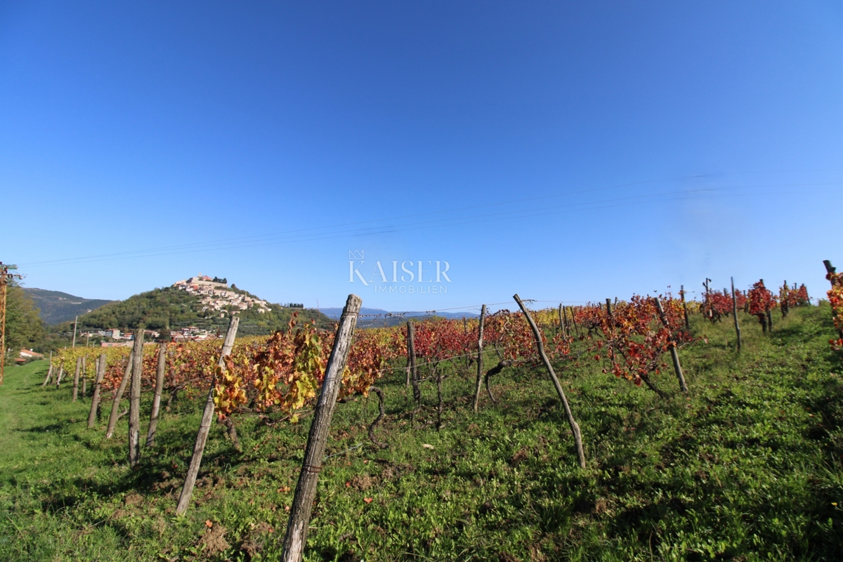 Istria - Motovun, terreno edificabile, vista su Montona