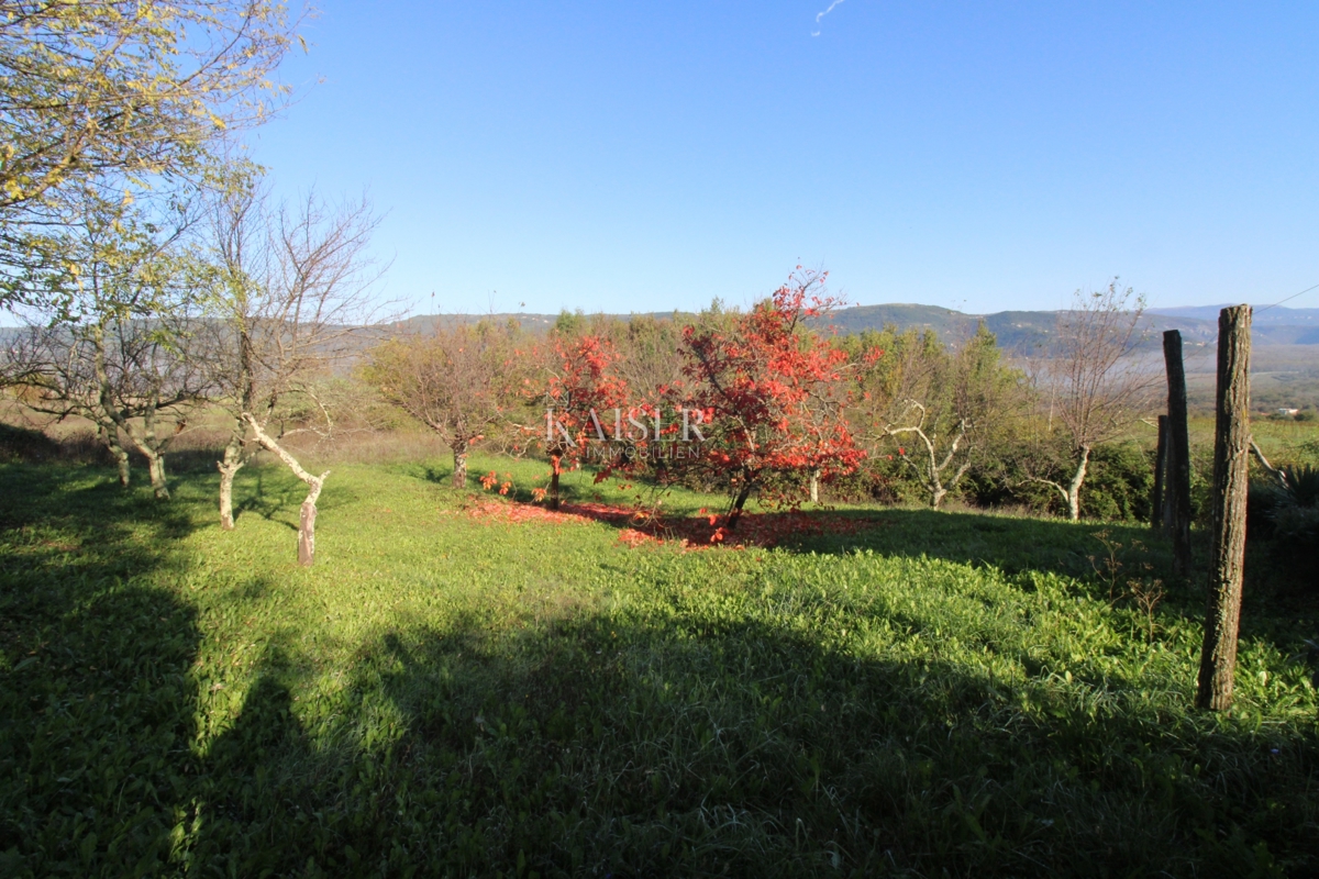 Istria - Motovun, terreno edificabile, vista su Montona