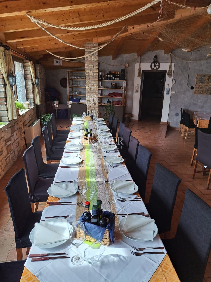 Casa Brtonigla, 508m2