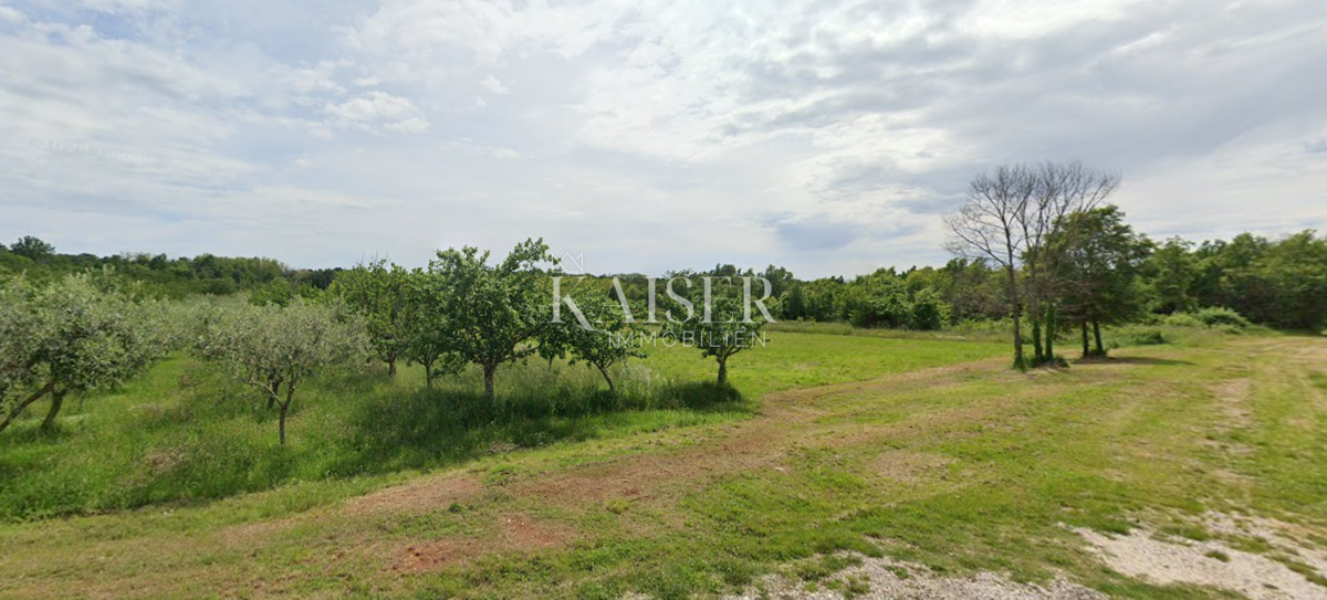 Istria, Baderna - terreno agricolo 15.300 m² con alberi da frutto